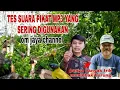 Download Lagu PIKAT MP3 ANDALAN JAYA CHANNEL SANGAT AMPUH‼BUKTIKAN‼ #mikatburung #caramikatburung