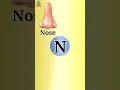 Download Lagu Words that start with Letter'N', Letter N #alphabets #letter #nurserysyllabus