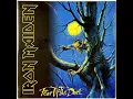 Lagu Iron Maiden - Fear Of The Dark - Full Album Vinyl Remaster