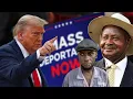 Download Lagu U.S deporting illegal immigrants to Uganda. 