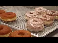 Basic Batch Donuts Milford MA
