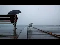 Heavy rain edging north along NSW coast