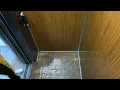 Olivia Moline Elevator Olivia Moline Elevator Pivahub