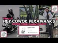 Download Lagu DJ HEY COWOK PERAWANKU SUDAH HILANG VIRAL TIKTOK 2024