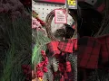 Dollar General Christmas Decor