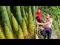 Download Lagu Mother \u0026 Daughter Harvest Giant Bamboo Shoots,  Papaya Flowers -Goes to the Market to sell