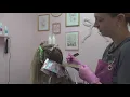 Bentonville stylist creates salon experience for people with alpha-gal syndrome