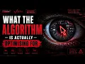 What the Algorithm Is Actually Optimizing For