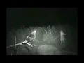 Jackal call.wmv