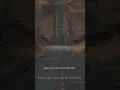 Download Lagu all falls down -Alan Walker, Digital Farm Animals, dan Noah Cyrus #music #shorts #short #lyrics