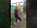 Download Lagu Main Bhagya ki Morni😝😂#shorts#viral#haryanvifolksong#folk#dance#desi#up#mp#trending#folkart#upsc#liv