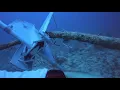 NSU-ROV Support