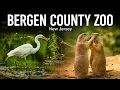 A Day at Bergen County Zoo Paramus New Jersey BergenCountyZoo