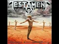 Testament - Envy Life