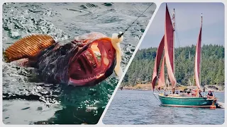 Sailing The Southern Gulf Islands And Catching Cod! Sailor Barry & Hailly