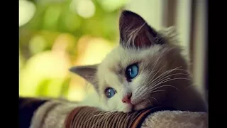 اغاني من مسلسل صدفة    حزينة جدا     دندنها
