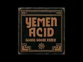 Download Lagu Unknown Artist ─ Yemen Acid (Goose.Goose Remix)