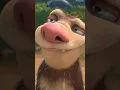 Crash and Eddie We re very very stupid Meme Ice Age 4 Meme