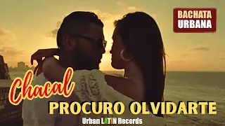 chacal procuro olvidarte bachata romantica 