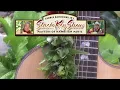 Ledward Kaapana "Pipeline/Riders in the Sky Medley" at Maui's Slack Key Show