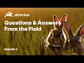 From the Field Q A with P J - Rename a Collection Network Vulnerability Scans