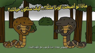 لو كنت كوبرا ملكًا.. كيف ستكون حياتك؟