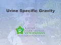 Urine Specific Gravity