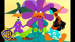 looney tunes duck amuck classic cartoon wb kids