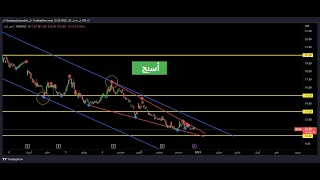 أسيج      انتظار كسر الترند الهايط دندنها