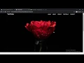 How to create Sticky Navbar with Smooth Scroll using jQuery JavaScript TechTube 2020