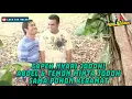 Download Lagu CAPEK NYARI JODOH! ABDEL \u0026 TEMON MINTA JODOH SAMA POHON KERAMAT - ABDEL \u0026 TEMON