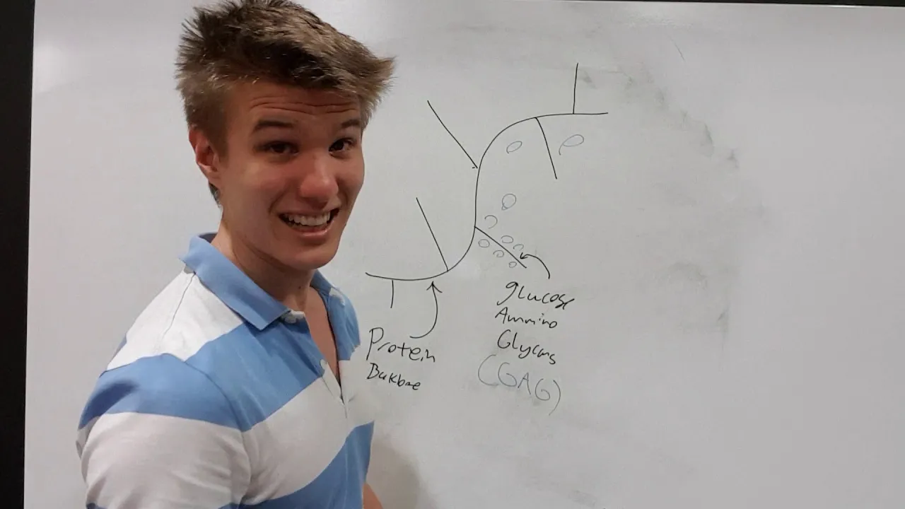 Stem cell biology and regenerative medicine 11 - tissue engineering