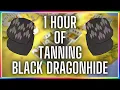 OSRS - Tanning Black Dragonhide Testing OSRS Wiki Money Making Methods 2021