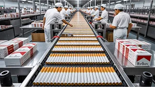 كيف يتم تصنيع السجائر داخل المصنع                     دندنها