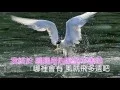 Download Lagu 隱形的翅膀-張韶涵歌詞《Karaoke 》