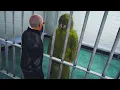 Mr K Becomes Bobby Charles Legal Aid and Explores MRPD Nopixel 4 0