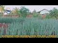 Download Lagu Beginilah momen petani pemula asal jawa tengah