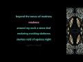 DELAIN - BENEATH (LYRIC VIDEO PERFORMED BY JEFF LUPUS)