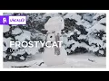 Download Lagu Frostycat - LoFi Mix [Monstercat Release]