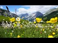 Italy s Alps Beautiful Relaxing Music Peaceful Soothing Instrumental Music by Tim Janis