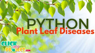 Python Image Processing Project - Plant Leaf Diseases