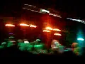Los Pericos - Jamaica Reggae (Comodoro Rock 2010)