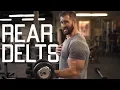 How To Get Bigger Rear Delts Best Posterior Deltoid Exercises