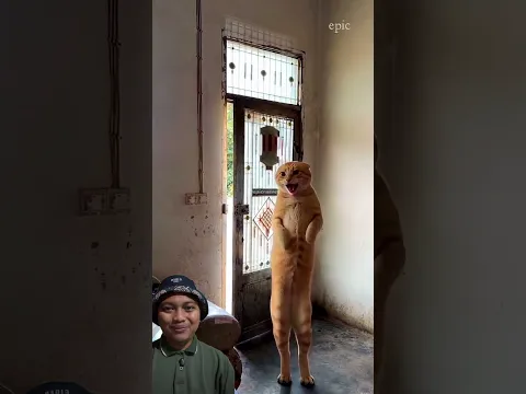 Pura pura sedih😱😍