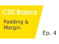 Padding Margin CSS Basics 4