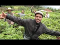 Jah Coffee aka Jhayam & Ranking Uaíses - De que adianta ?  (Cultivators Riddim )