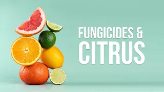 EWG Explains Fungicides and Citrus