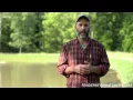 Pond Management - For better fish growth