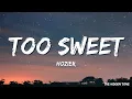 Hozier - Too Sweet (Lyrics)