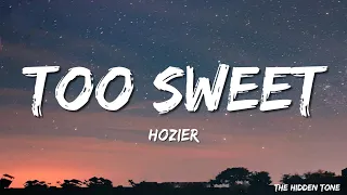 Hozier Too Sweet Lyrics 